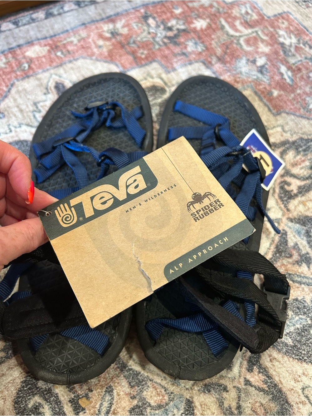 Teva Men's Black and Blue Hiking Sandals